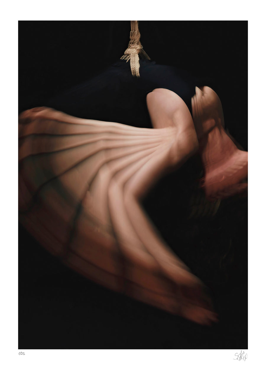 Shibari #7