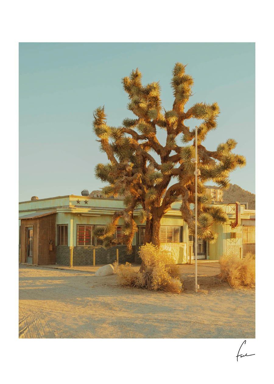 Desert Diner