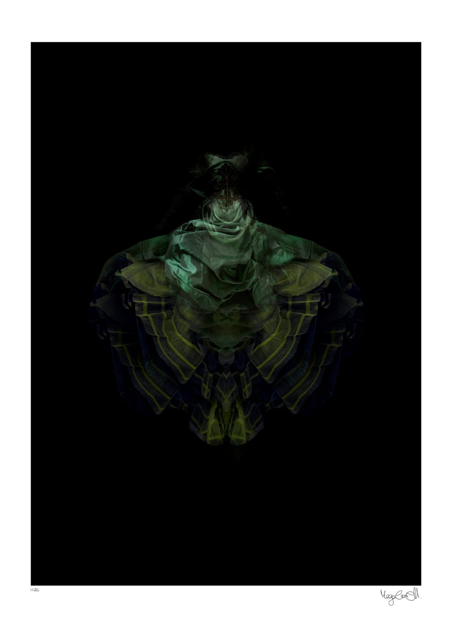 Moth Fade