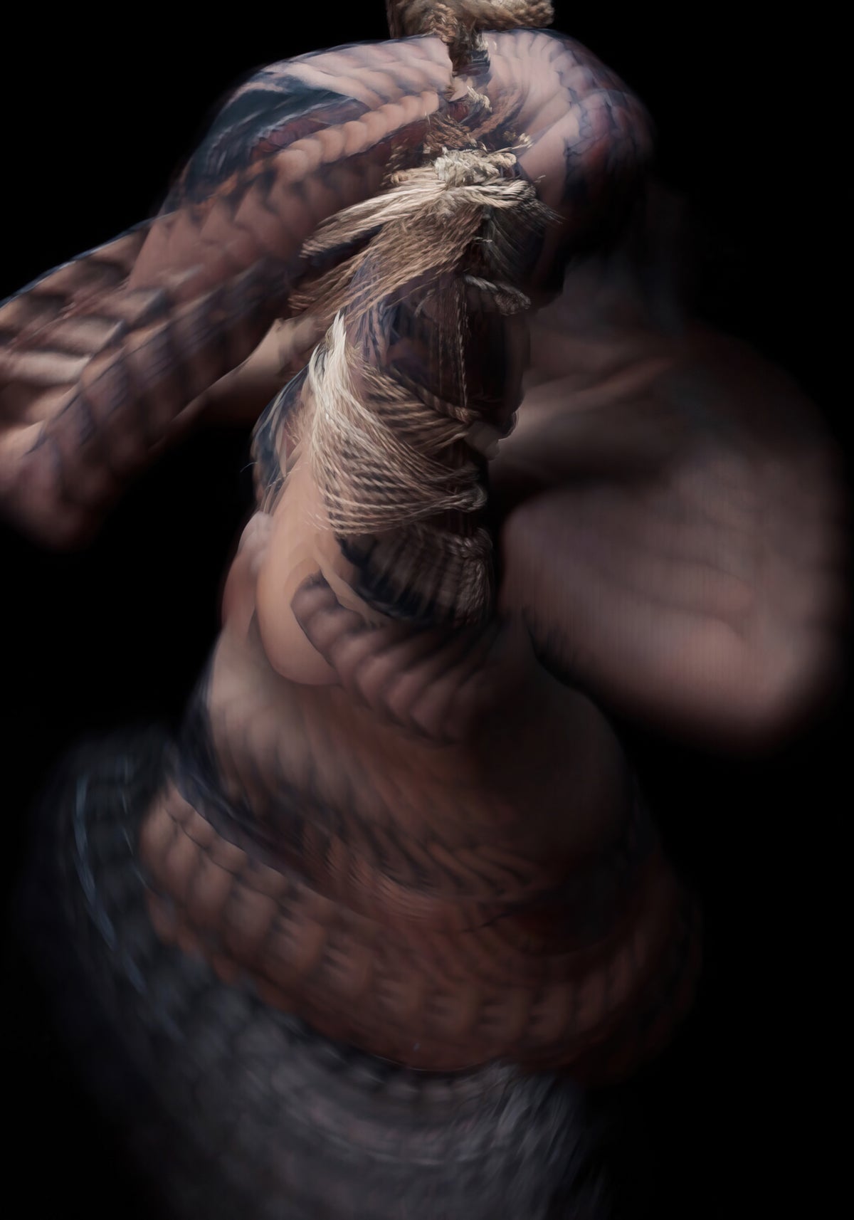Shibari #4