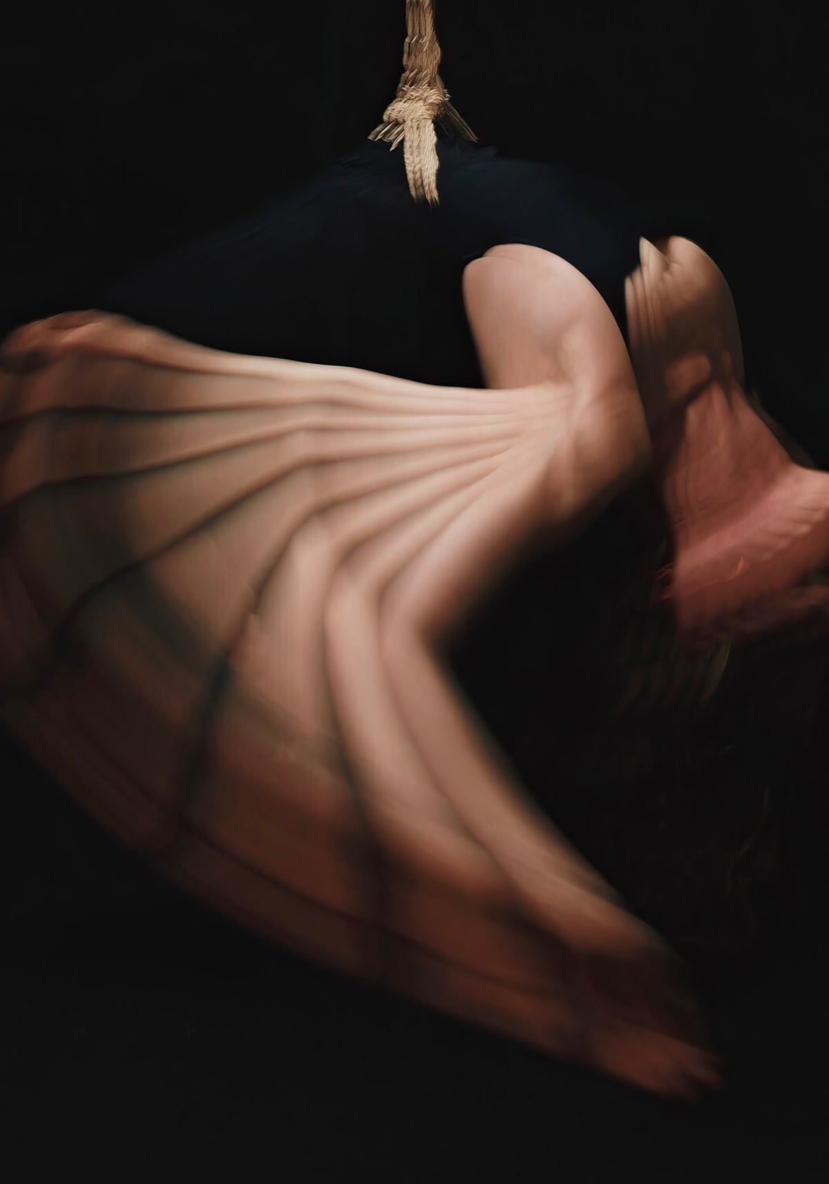 Shibari #7