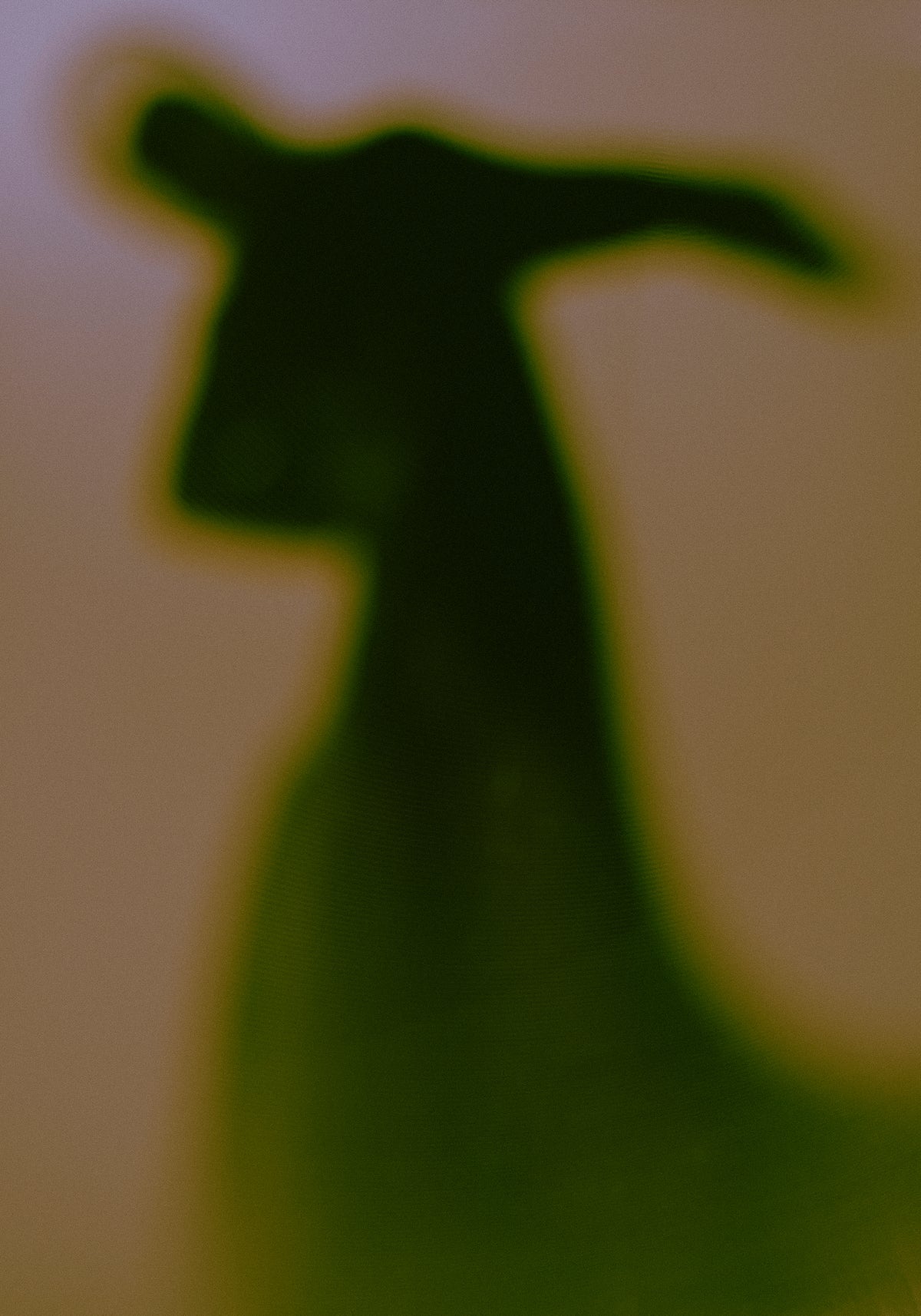 Trauma #1