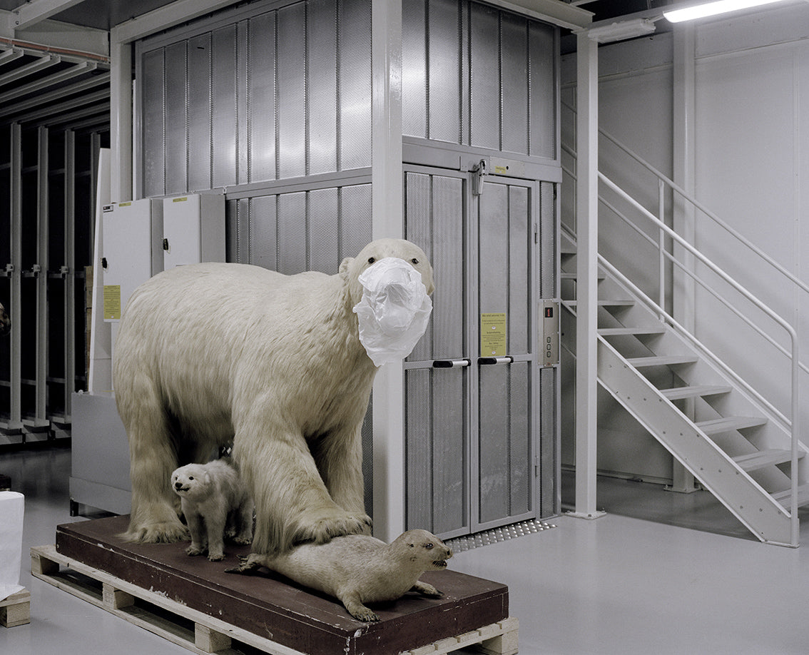 Moveable Beast # 01