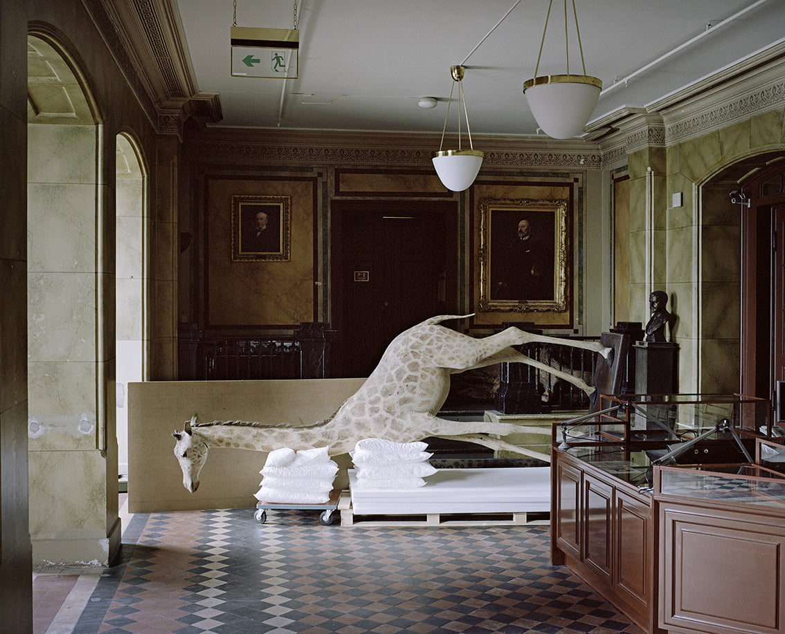 Moveable Beast # 05