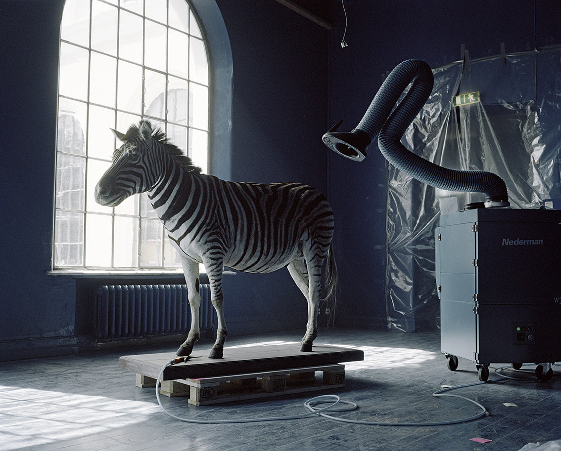 Moveable Beast # 07