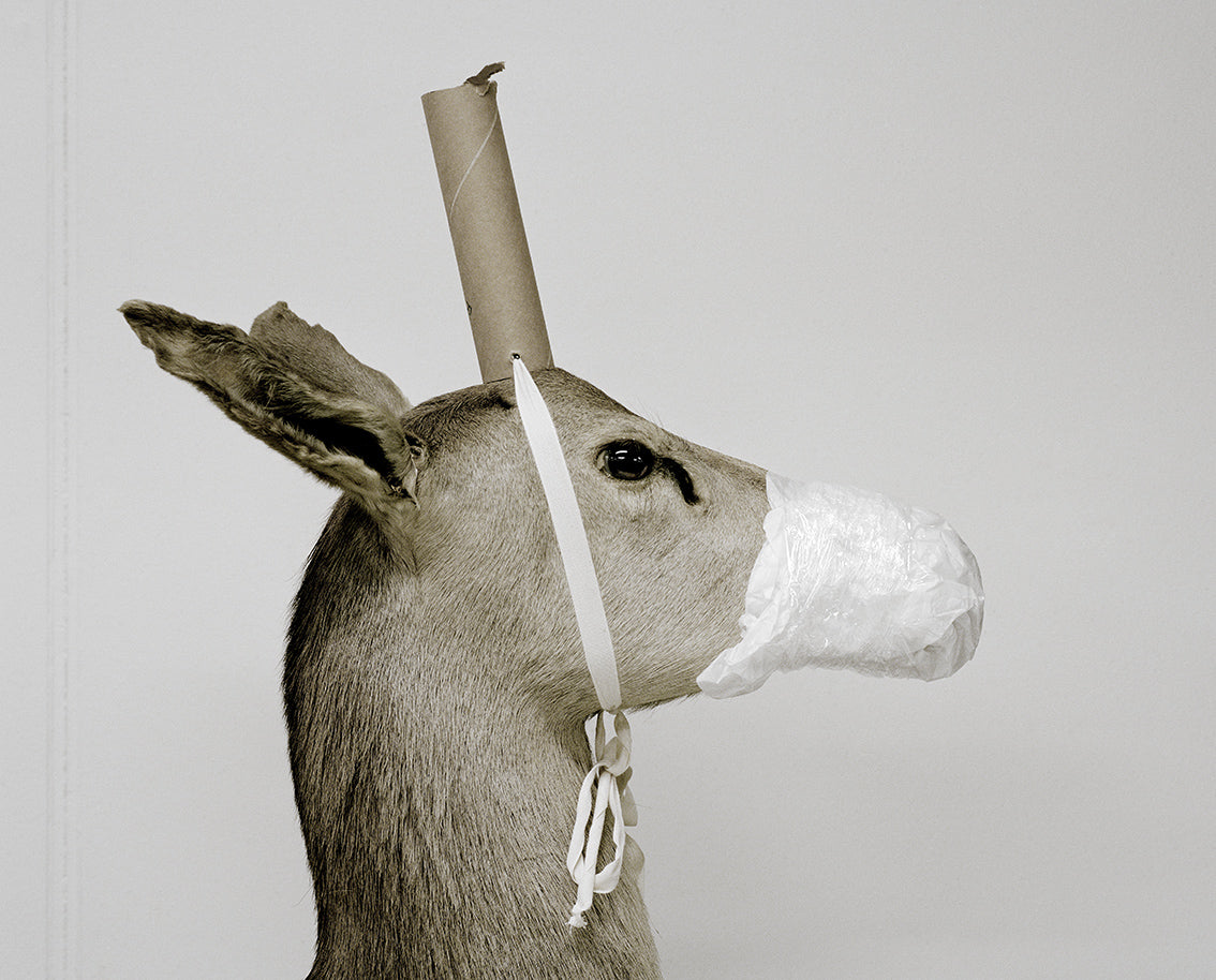 Moveable Beast # 33