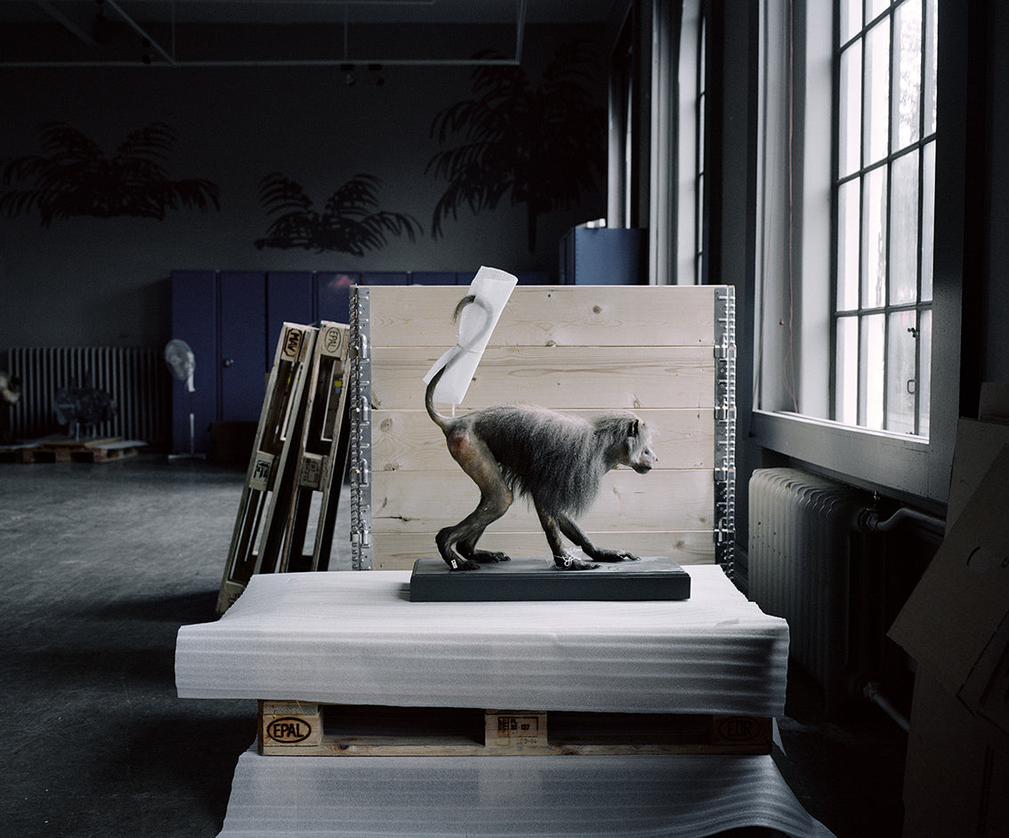 Moveable Beast # 37