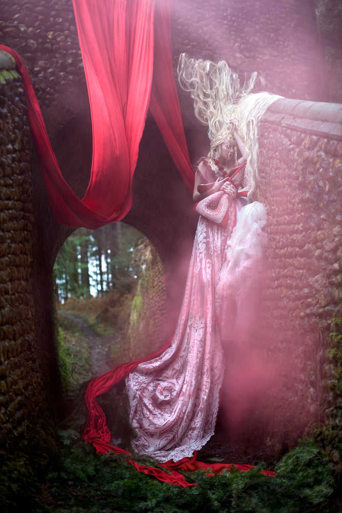 The Briar Rose (2011)