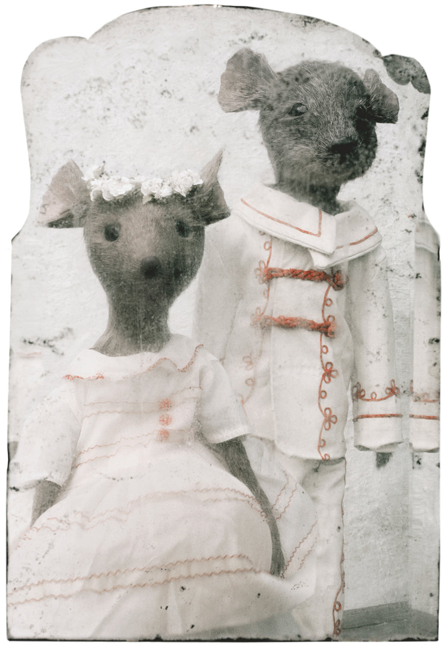 The Couple, 2016